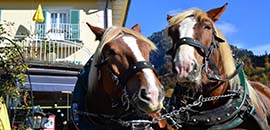 Parkeren schloss Neuschwannstein parkeren slot neuschwanstein